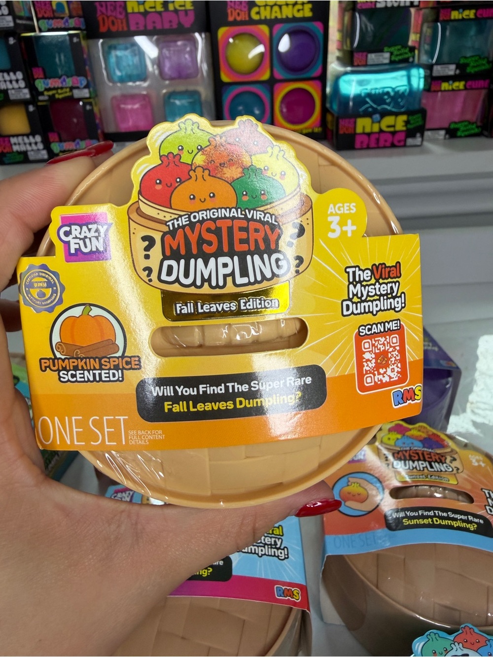 Mystery Dumpling Fall Leaves Edition - Pumpkin Spice Scented new